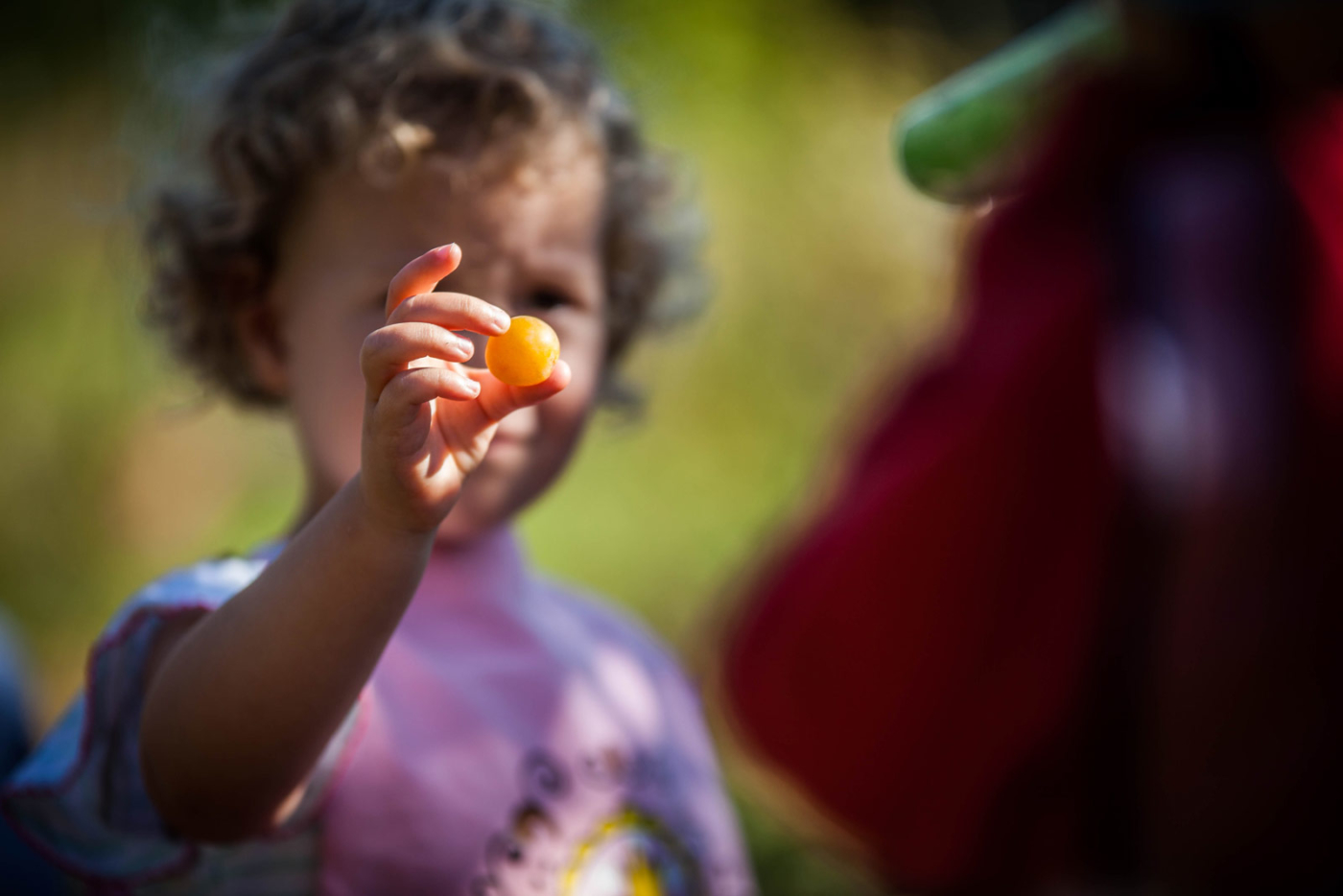 4-IMG_2907-1 4-IMG_2907-1