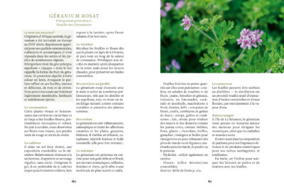 Les herbes aromatiques_p. 60-61