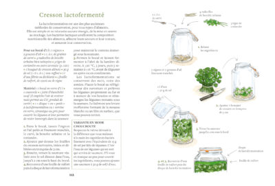 Les herbes aromatiques_p112-113_©maelle le toquin