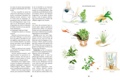 Les herbes aromatiques_p18-19©maelle le toquin