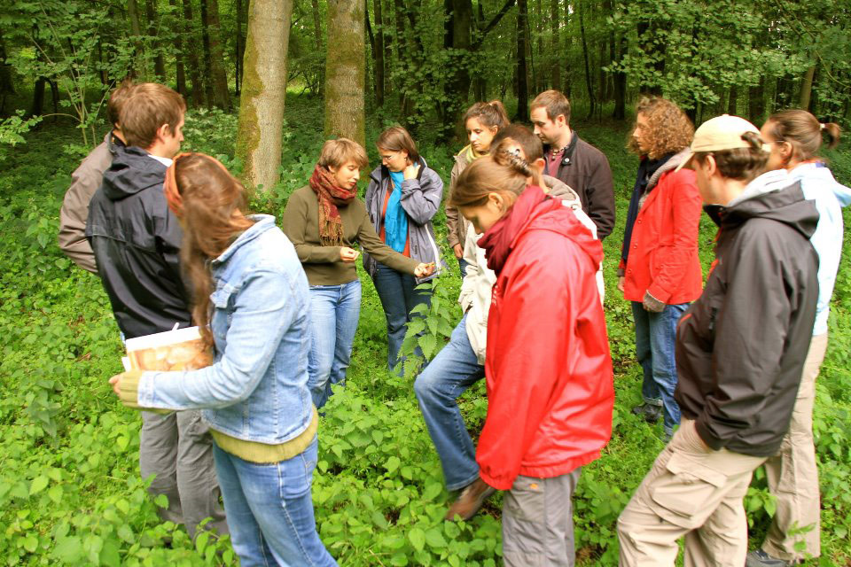 Plantes-sauvages Plantes-sauvages